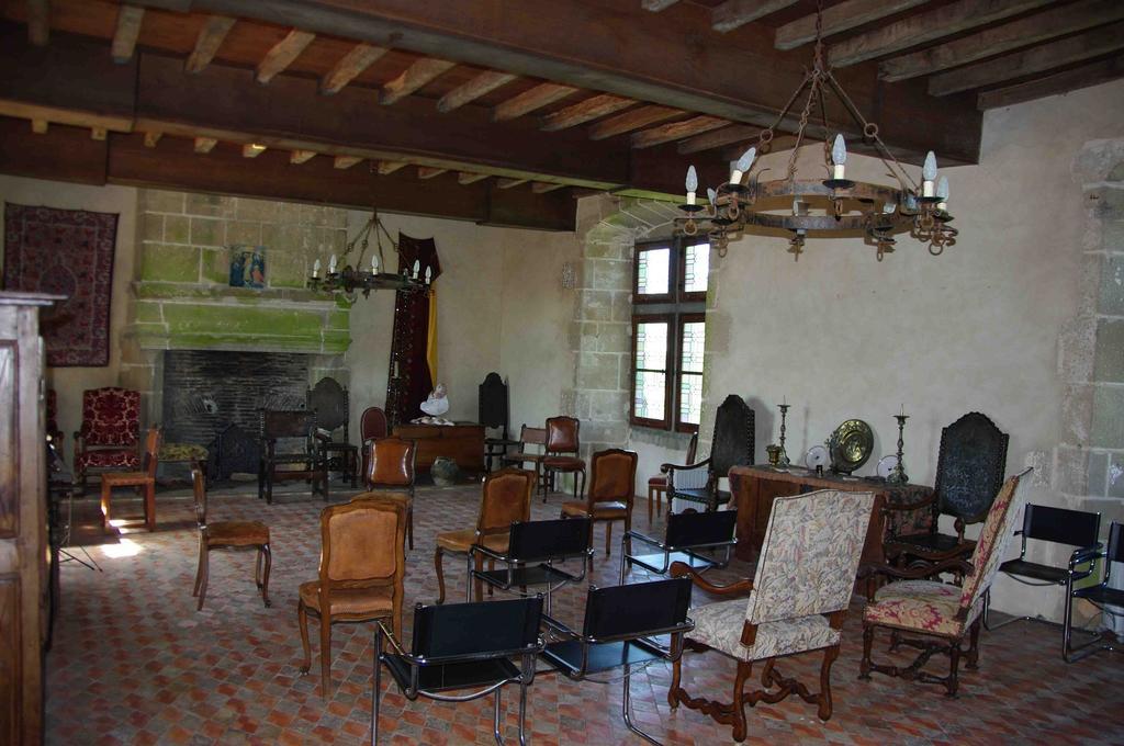 Chateau De Vermette La Chapelle-Gaudin Phòng bức ảnh